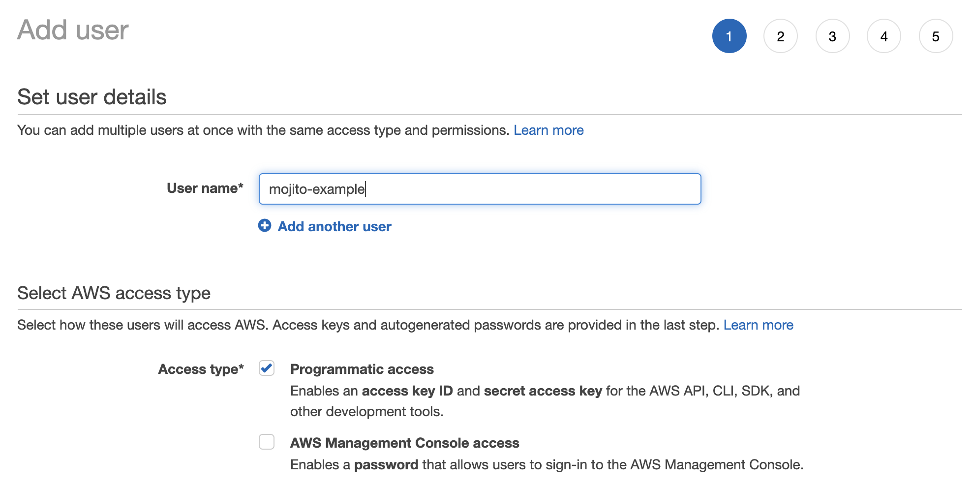 Name your user and assign them programmatic access. Step 2